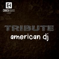 Artwork for Tribute To American DJ by American Dj