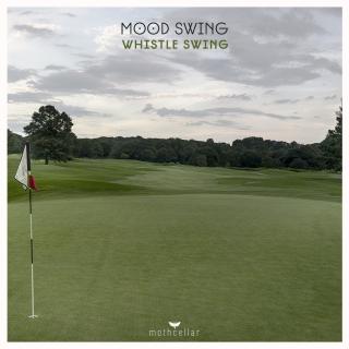 Artwork for Whistle Swing (Original Mix)