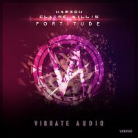 Artwork for Fortitude (Extended Mix) by Hamzeh