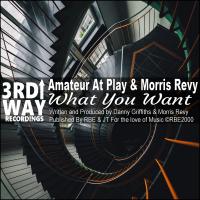 Artwork for What You Want by Amateur At Play