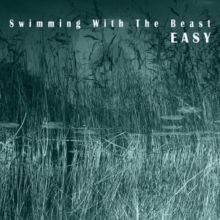 Artwork for Swimming With the Beast