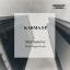 Artwork for Karma (Marla Singer Remix)