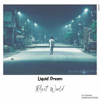 Artwork for Reset World by Liquid Dream