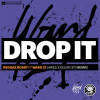 Artwork for Drop It (feat. Ward 21) (Aries & Kelvin 373 Remix) by Reggae Roast