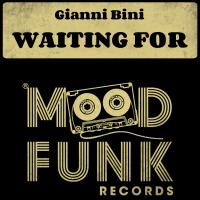 Artwork for Waiting For by Gianni Bini