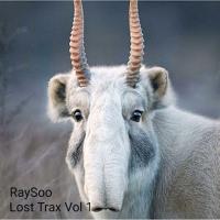 Artwork for Lost Trax, Vol. 1 by RaySoo