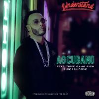 Artwork for Understand (feat. Trife Gang Rich & Rico 2 Smoove) by AG Cubano