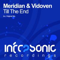 Artwork for Till The End by Meridian