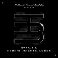 Artwork for Let It Go by Sted-E & Hybrid Heights