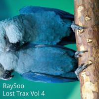 Artwork for Lost Trax, Vol. 4 by RaySoo