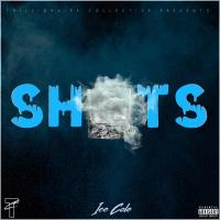Artwork for Shots by Ice Cole