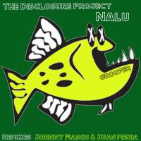 Artwork for Nalu by The Disclosure Project