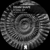 Artwork for Fossil EP by Steam Shape