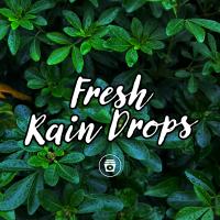 Artwork for Fresh Rain Drops by Sounds Of Nature