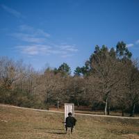 Artwork for Páscoa by Saloio