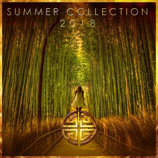 Artwork for Last Sunset (Nujazz Mix)