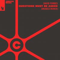 Artwork for Questions Must Be Asked by David Forbes