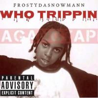 Artwork for Who Trippin Da GangTape by Frostydasnowmann