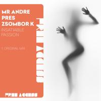 Artwork for Insatiable Passion by Mr Andre