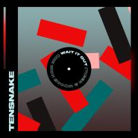 Artwork for Wait It Out by Tensnake