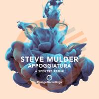 Artwork for Appoggiatura by Steve Mulder