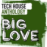 Artwork for Big Love Tech House Anthology by Various Artists