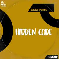 Artwork for Hidden Code by Javier Penna