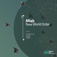 Artwork for New World Order by Mlab