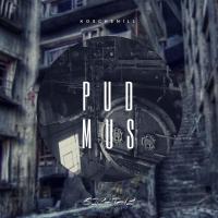 Artwork for Pudmus EP by Koschenill