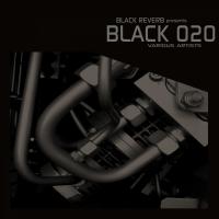 Artwork for Black 020 by Various Artists