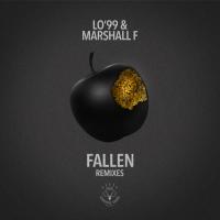 Artwork for Fallen (Remixes) by LO'99