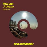 Artwork for Underplay by Paw Luk