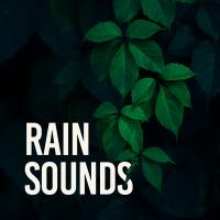 Artwork for Rain Sounds by Nature Sounds Nature Music