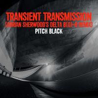 Artwork for Transient Transmission by Pitch Black