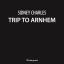 Artwork for Trip To Arnhem (Original Mix)