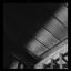 Artwork for Intromorphosis (Original Mix)