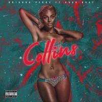 Artwork for Collins (feat. Hood Brat) by Brianna Perry