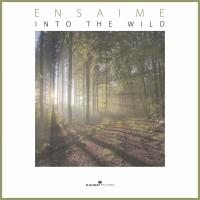 Artwork for Into The Wild by Ensaime