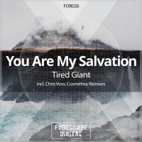 Artwork for Tired Giant (Remixes) by You Are My Salvation