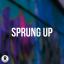 Artwork for Sprung Up