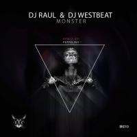 Artwork for Monster by DJ Raul