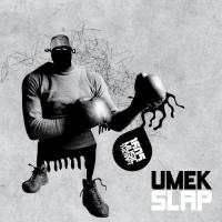 Artwork for Slap by UMEK