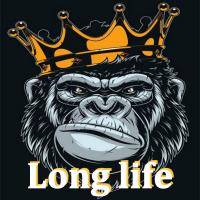 Artwork for Long life by Boombap Beats