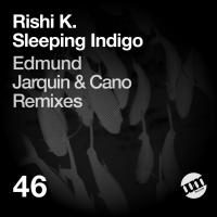 Artwork for Sleeping Indigo by Rishi K