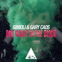 Artwork for One Night in the Disco by Simioli