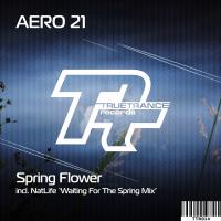 Artwork for Spring Flower by Aero 21