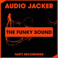 Artwork for The Funky Sound by Audio Jacker