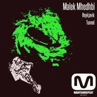 Artwork for Reborn EP by Malek Mhedhbi