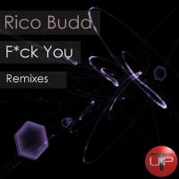 Artwork for Fuck You by Rico Buda