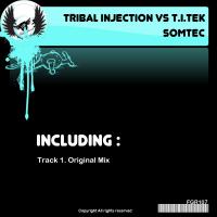 Artwork for Somtec by Tribal Injection